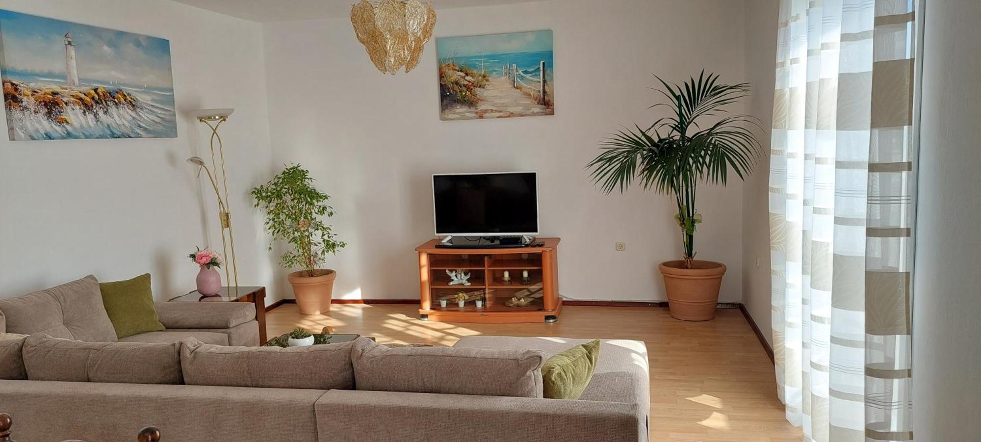 Apartmani Sladana Kampor ห้อง รูปภาพ